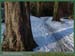 20050306_stcloud_foretsidf_018