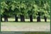 20050521_thoiry_foretsidf_010