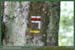 20050612_foretsidf_002