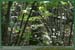 20050925_foretsidf_036