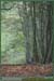20051030_marly_05