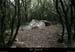 20120722_barjac_dolmendesoeillantes3