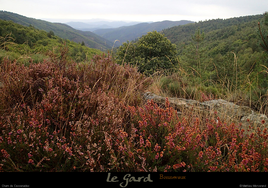20131012_gard_bonnevaux_pentessschamdecessenades1