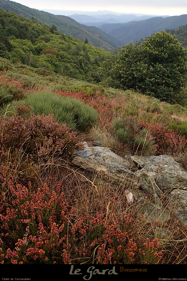 20131012_gard_bonnevaux_pentessschamdecessenades2
