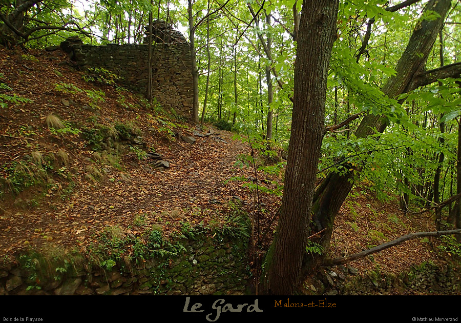 20131012_gard_malons_boisdelaplaysse