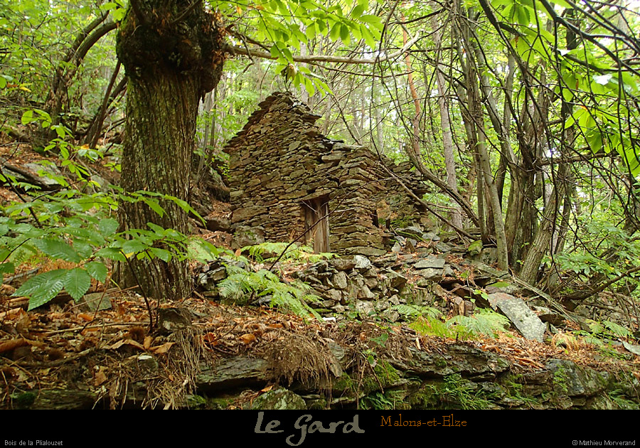 20131012_gard_malons_boisdepialouzet
