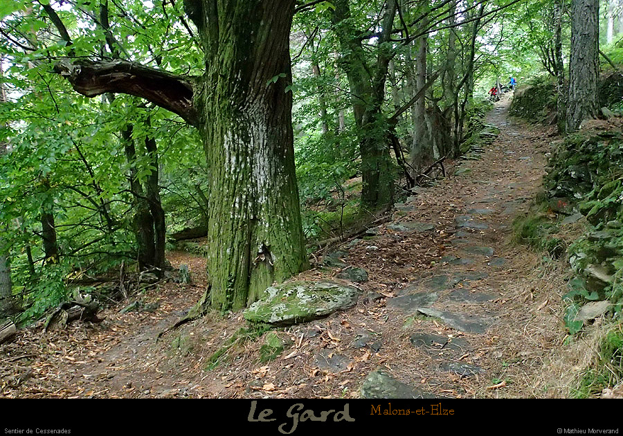 20131012_gard_malons_sentierdecessenades1