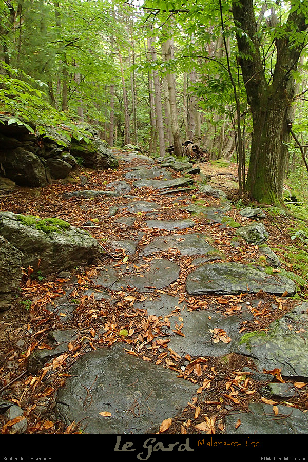 20131012_gard_malons_sentierdecessenades5