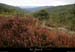 20131012_gard_bonnevaux_pentessschamdecessenades1