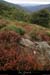 20131012_gard_bonnevaux_pentessschamdecessenades2