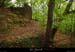 20131012_gard_malons_boisdelaplaysse
