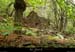 20131012_gard_malons_boisdepialouzet