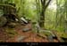 20131012_gard_malons_sentierdecessenades3
