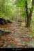 20131012_gard_malons_sentierdecessenades4