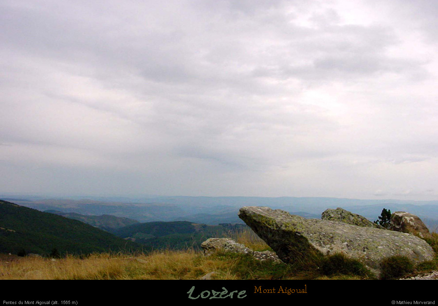 20010816_montaigoual_paysageaune_1