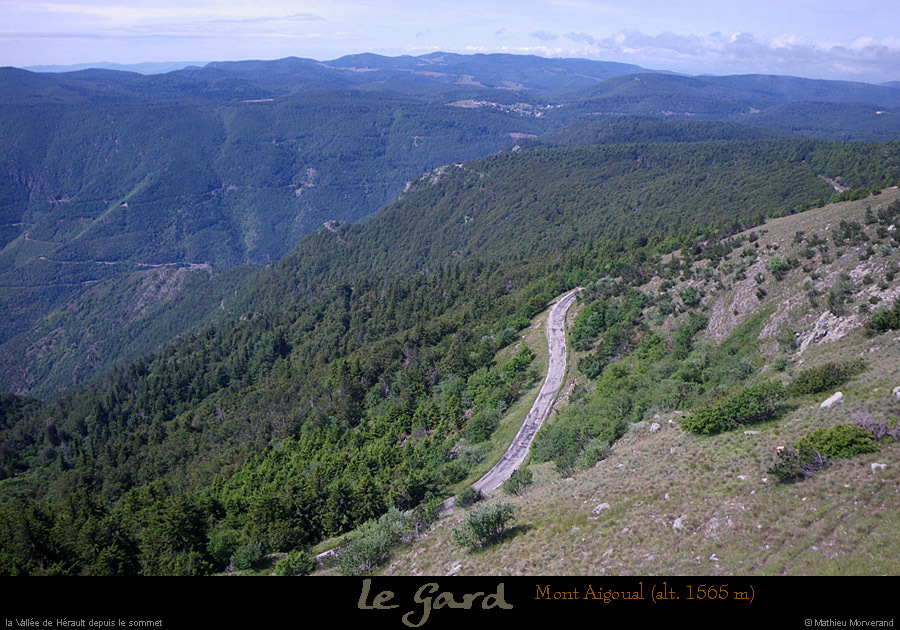 20110623_gard_mtaigoual_valleherault1