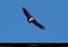 20251111_449