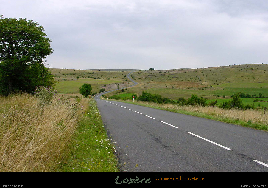 20010816_caussedesauveterre_route_1