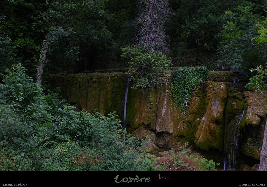 20110623_lozere_florac_ruisseaudupecher1