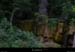 20110623_lozere_florac_ruisseaudupecher1