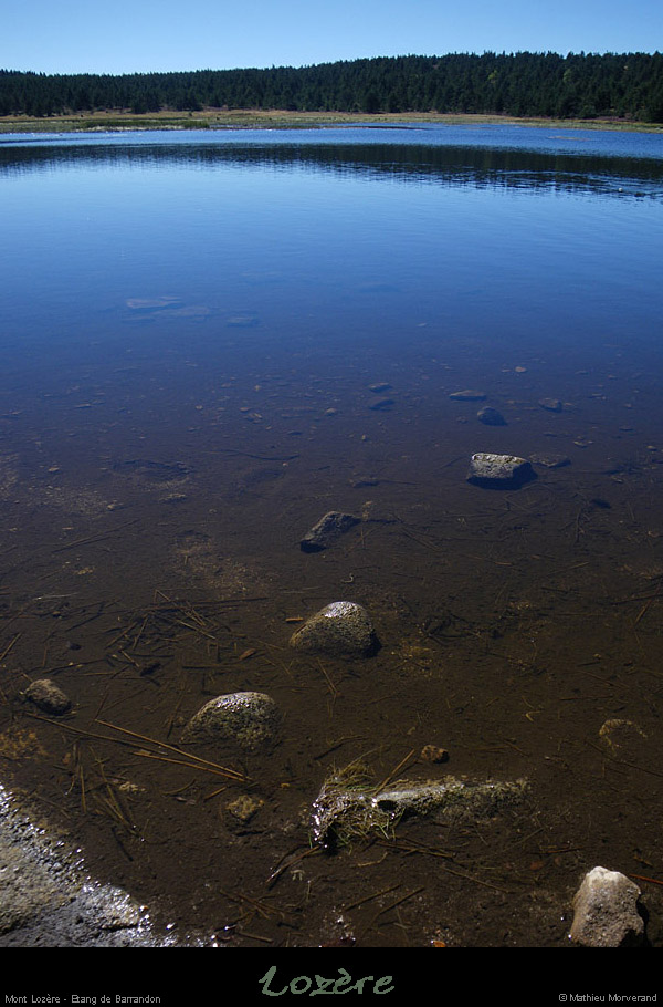 20100911_mtlozere_etangdebarrandon2