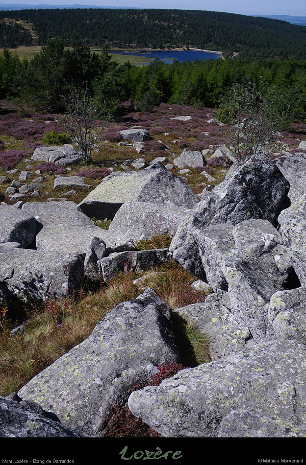 20100911_mtlozere_etangdebarrandon4