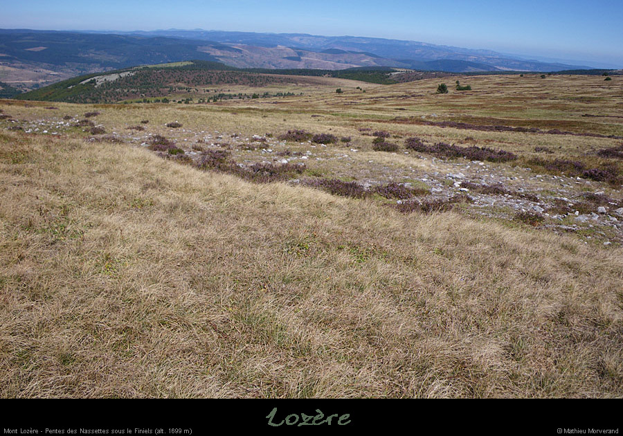 20100911_mtlozere_finiels_pentesdelabaraque1