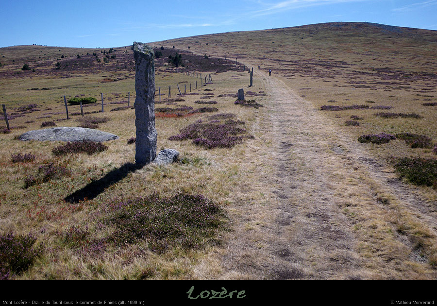 20100911_mtlozere_tracestevensonsousfiniels1