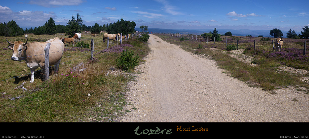 20110804_cubierettes_pistedugrandjas