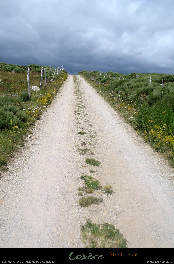 20120715_ptdemontvert_pistedemascamargues