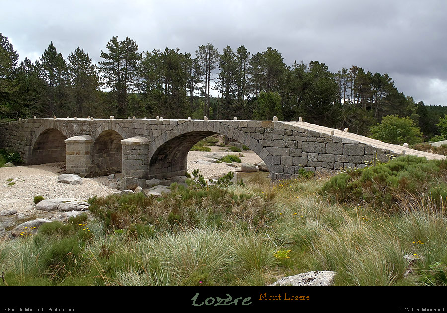20120715_ptdemontvert_ptdutarn2