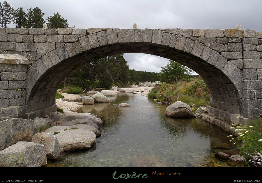 20120715_ptdemontvert_ptdutarn3