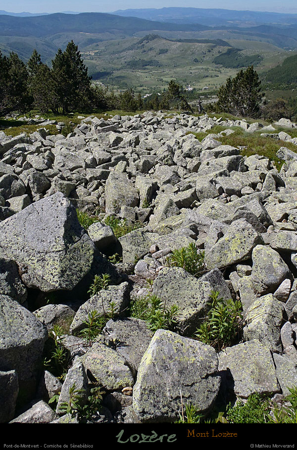 20130630_ptdemontvert_cornichesenebebios2