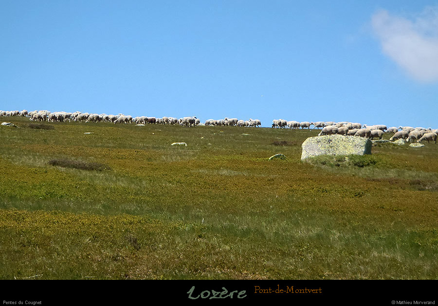 20130630_ptdemontvert_pentesducougnet