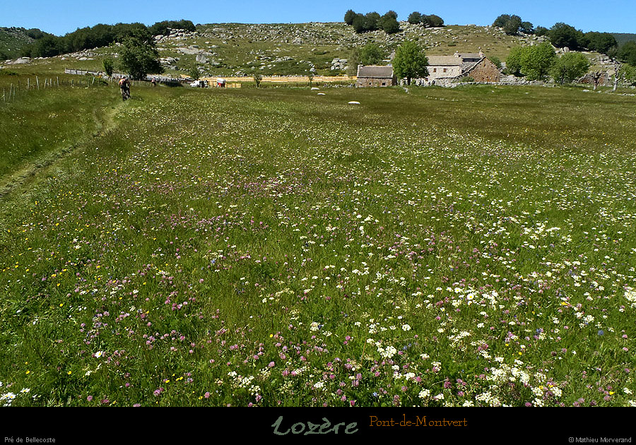 20130630_ptdemontvert_predebellecoste