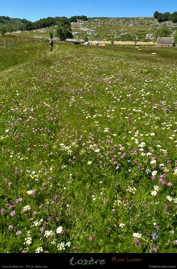 20130630_ptdemontvert_predebellecoste2