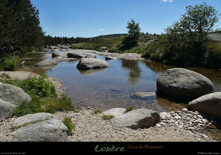 20130630_ptdemontvert_ptdutarnaval