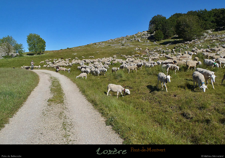 20130630_ptmontvert_pistebellecoste1