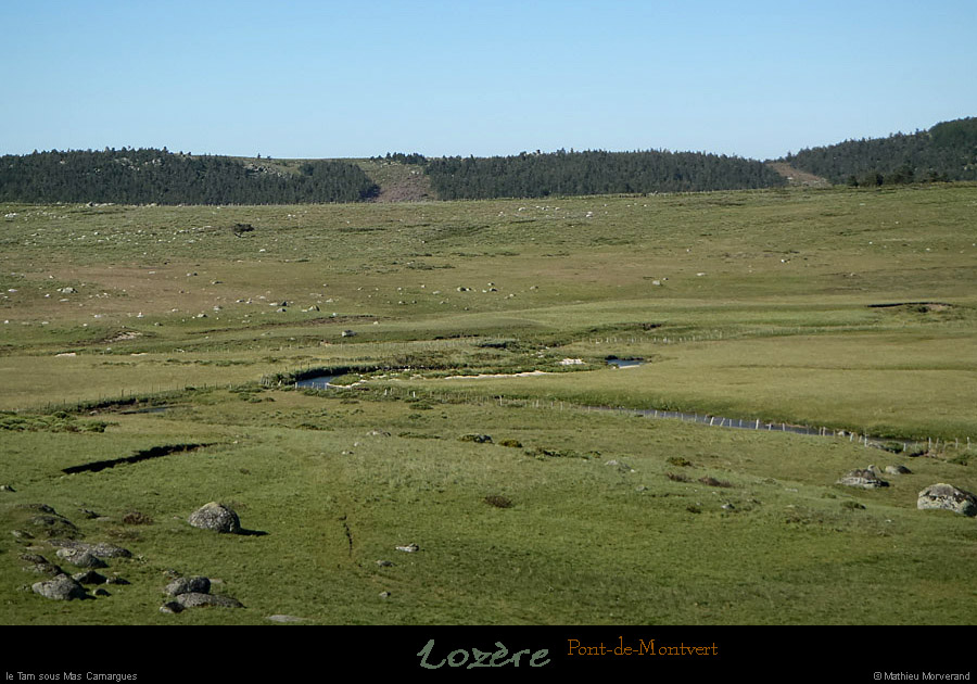 20130630_ptmontvert_tarnssmascamargues1