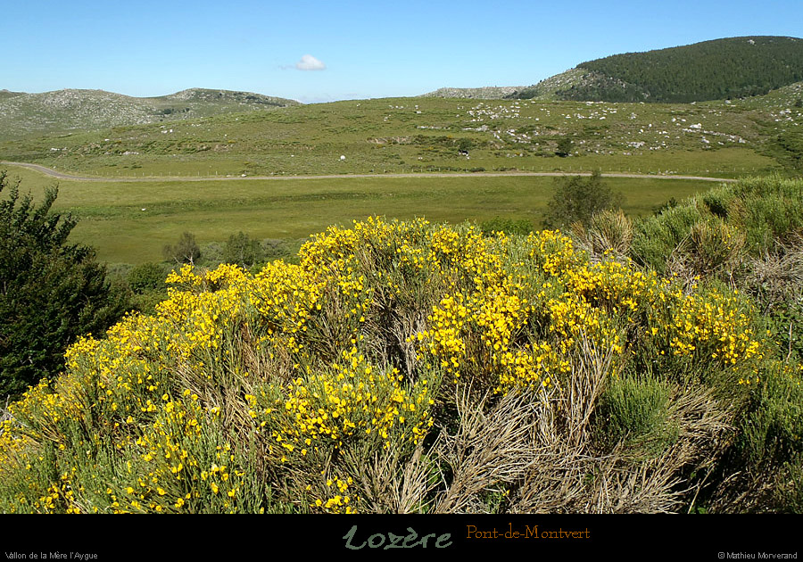 20130630_ptmontvert_vallondemerelaygue