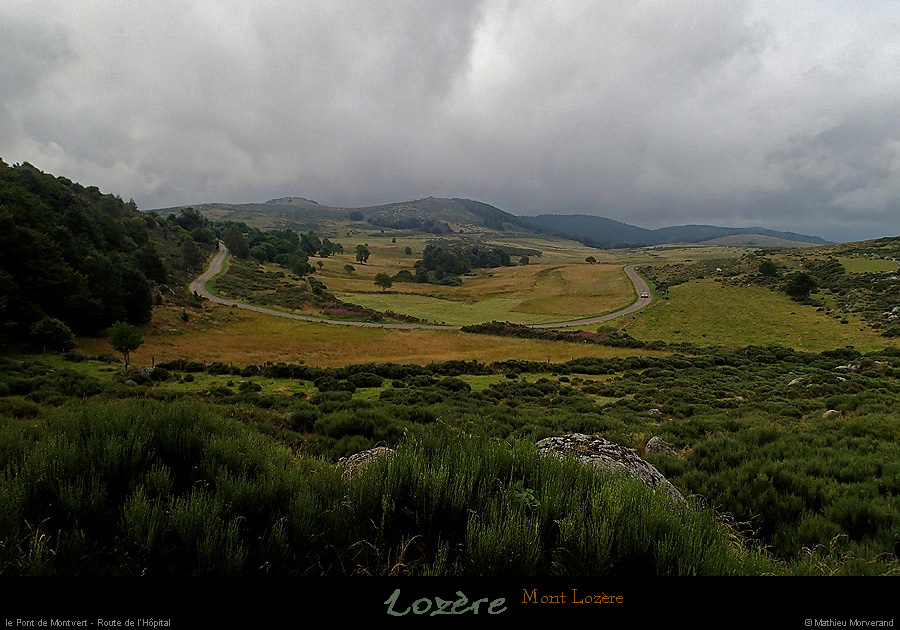20140810_241