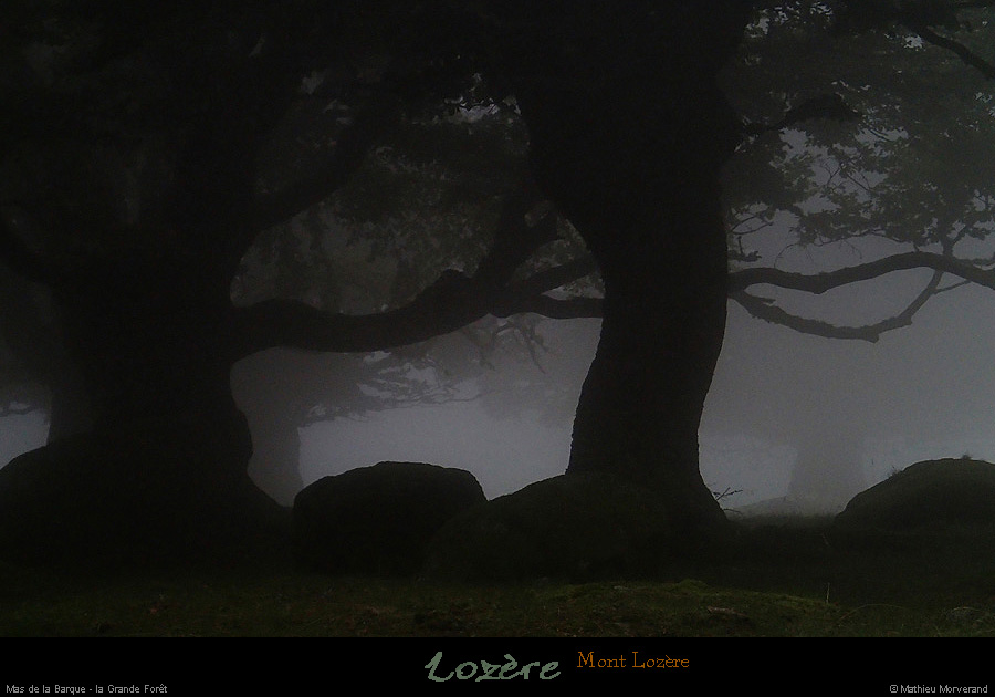 20140810_411