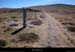 20100911_mtlozere_tracestevensonsousfiniels1