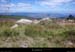 20110804_cubieres_pentesdugrandjas