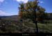 20110804_ptdemontvert_mtlozere_vallondesplanches1