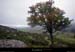 20110911_ptdemontvert_mtlozere_vallondesplanches1