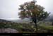 20110911_ptdemontvert_mtlozere_vallondesplanches2