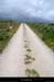 20120715_ptdemontvert_pistedemascamargues