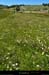 20130630_ptdemontvert_predebellecoste2