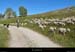 20130630_ptmontvert_pistebellecoste2